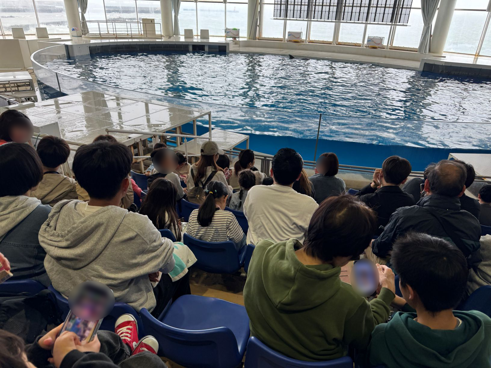 アクアワールド大洗での活動の様子